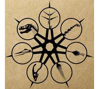 Ian Cooke - Antiquasauria