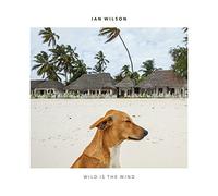Ian Wilson - Wild Is The Wind