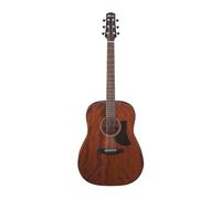 Ibanez AAD140-OPN - Natural