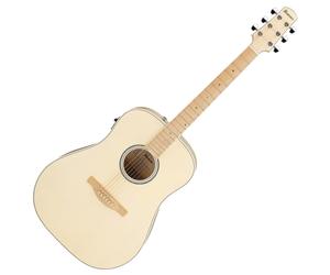 Ibanez AAD77M1E Advanced Acoustic Open Pore Antique White