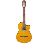 Ibanez Acoustic guitar / GA3ECEOAM Standard