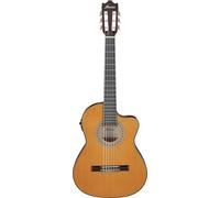 Ibanez Acoustic guitar / GA5TCE3QAM Standard