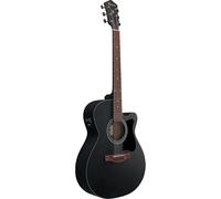 Ibanez Acoustic Guitar / VC44CEWK