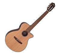 Ibanez AEG50N Natural