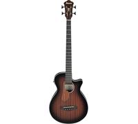Ibanez AEGB24E-MHS