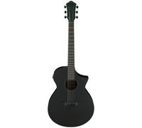 Ibanez AEWC621-BOT