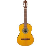 Ibanez Acoustic guitar / GA3OAM Standard