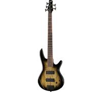 IBANEZ - GSR205SM NAT GRAY BURST - 5 string electric bass
