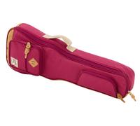 Ibanez IUBT541-WR Powerpad