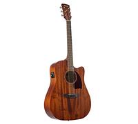 Ibanez PF12MHCE-OPN