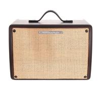 IBANEZ - T30II TROUBADOUR - Combo amplifier for acoustic guitar