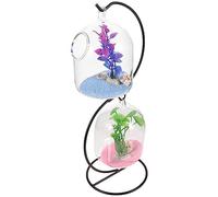 ibasenice 1 Juego Pescado Colgante Mini Peces de Oficina pecera para Colgar en la Pared Acuario pequeño de Escritorio pecera pequeña de Escritorio pecera de Escritorio Vidrio Color Aleatorio