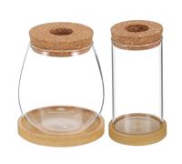 ibasenice 2 Piezas Jarrones de Propagación Hidropónicos de Borosilicato con Tapa de Corcho y Bandeja Macetas Transparentes para Plantas de Interior de Unidades