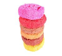 ibasenice 6 Piezas Juguetes Masticables para Mascotas Forma de Raíz de Set de Masticar para Conejos y Hámsters Juego Saludable para Moler Dientes Medio Colores Aleatorios