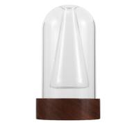 ibasenice Botella difusora de aromaterapia: Jarrón de Doble Cristal Transparente con Base de Madera para Centro de Mesa de café de Interior, decoración Vintage.