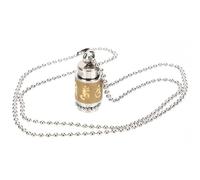 ibasenice Collar de Recuerdo para Cenizas Diseño Ligero de Acero Inoxidable y Colgante Que Se Puede Abrir, Joyería Conmemorativa para Mujer y Hombre en Ocasiones Obsequios