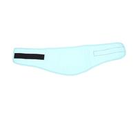 ibasenice Collar Refrescante para Perros Ajustable Pañuelo Enfriador para Mascotas de Verano para Actividades Color Verde con Puntos S