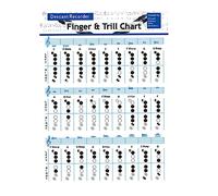 ibasenice Cuadro de Acordes de Clarinete Fácil de Usar Cuadro de Flauta Vertical para Estudiantes Póster de Acordes de Guitarra Alternativa