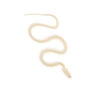 ibasenice Esqueleto de Serpiente Real para Educación Científica y Decoración Artística DIY Espécimen Coleccionable para Investigación y Manualidades Óseas Animales