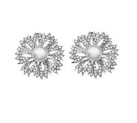 ibasenice Hebillas de Zapatos Decorativas Perlas y Pedrería Accesorios Removibles de Aleación para Mujer 1 Par de Adornos Hechos a Mano para Decoración de Zapatos Fiestas y Eventos