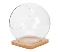 ibasenice Jarrón De Musgo Jarrón De Micropaisaje Maceta De Vidrio para Suculentas para Crear Espacios Pequeños para Decorar Cocina o Escritorio