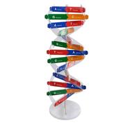 ibasenice Modelo de ADN Doble Hélice para Niños, Tamaño DIY, Material Didáctico Científico, Enseñanza de Biología, Juguete Educativo para Experimentos y Aprendizaje en Aula, Color Aleatorio