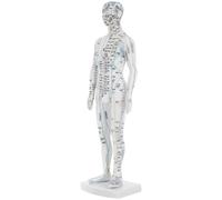 ibasenice Modelo en Plástico Blanco del Cuerpo Humano de Acupuntura y Maniquí de Punto de Acupuntura Visualización Clara de Meridianos para Entrenamiento para Profesionales y Estudiantes