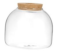 ibasenice para Hidropónicas y Acuáticas Decoración de Tapa de Corcho Jarrón de Transparente para Interior y Diseño de Miniatura