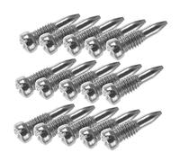 ibasenice Tornillos Metálicos para Saxofón Alto 30 Piezas de Repuesto Accesorios de Fijación Tornillos de Gato de Rata Herramientas de para Instrumentos de Viento