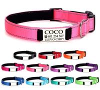 Ibera gifts - Collar Perro Personalizado con Nombre para Mascotas Medianas, Reflectante, Ajustable De 35 a 50 cm, Grabado Láser, Seguro y Cómodo (Rosa, M Mediano)