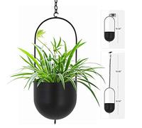 ibigbean Colgador de Metal Negro para Colgar en la Pared y el Techo, Maceta Moderna de Mediados de Siglo para macetas (D = 6.29 Pulgadas)