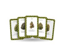 Ibiza Tarot Cannabis Oracle - Arcanos principales