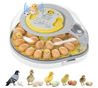 IBKINXX Incubadora de 26 huevos para incubar huevos con guía de voz inteligente, vista de 360° con control automático de temperatura y humedad, giro automático de huevos y vela de huevo integrada para