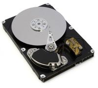 IBM 1TB 3.5" SATAII - Discos Duros internos (10-35 °C, 8-80%, SATA, HDD)
