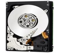 IBM 1TB 7.2K 6Gbps NL SATA 3.5in G2HS HDD Express - Disco Duro (SATA, 5-60 °C, -20-60 °C, 10-90%, 5-90 System x)