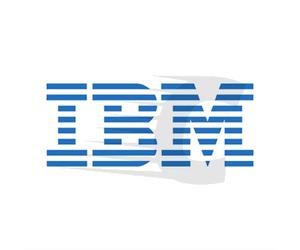 IBM 28P2019 Cartucho de grapas