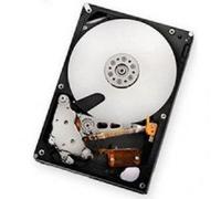 IBM 59Y5536 - Disco Duro (SATA, 2000 GB, 7200 RPM, Negro)