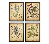 IBUKHSDGYIFH Hierba Impresión botánica Romero Salvia Tomillo Perejil Cocina Arte de la pared Planta de hierba botánica antigua Decoración de la cocina Sin marco-40x50cmx4