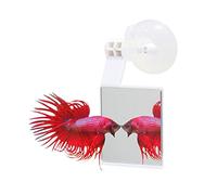 ICA AA204 Espejo para Peces Betta, Ventosa de Fijación