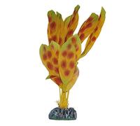 ICA AP1185 Anubias Moteada de Aquatic Plants Seda