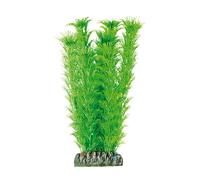 ICA Aquatic Plants Ambulia planta artificial para acuarios