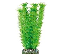 ICA Aquatic Plants AP1005 Planta Ambulia Artificial para Acuarios, 21 Cm