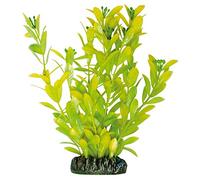 ICA Aquatic Plants AP1021 Planta Hygrophila Polysperma Artificial para Acuarios, 20,5 Cm