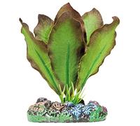 Aquatic plants planta acuario seda anubias bronceada 7 cm