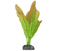 ICA Aquatic Plants AP1112 Planta de Seda Microsorium para Acuario, 31 Cm
