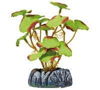 ICA Aquatic Plants AP1116 Planta de Seda Nenúfar para Acuarios, 10,5 Cm