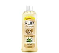 ICA CHP23 Champú Especial para Cachorros con Aloe Vera, pH Neutro, Protege y Regenera, con Fragancia a Coco, 400ml