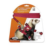 ICA DA970 Set de Arnés y Correa para Hurones, Rojo, Ajustable