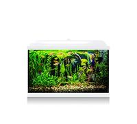 ICA KDI68B Acuario Aqua LED Pro 60L Blanco, Kit Completo con Filtro, Luz LED, Alimento para Peces, Acondicionadores, Termómetro y Termocalentador