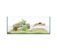 ICA Kit Tortuguera Isla 50 Reptiselva 7600 g